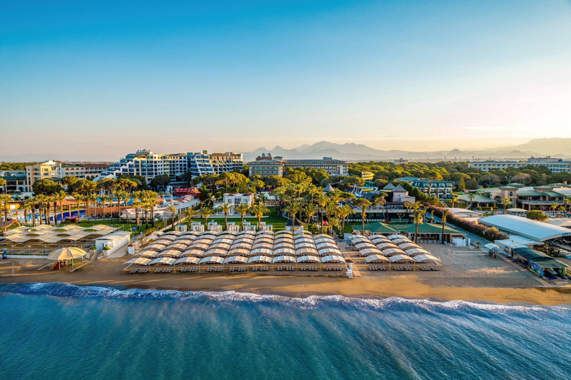 PAPILLON AYSCHA - BELEK